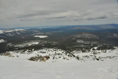 DSC_6681 (Large).JPG